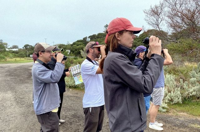 GMHBA staff members looking for birds